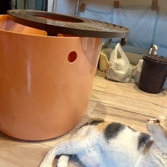 猫トイレ　アイリスオーヤマ　消毒済の画像