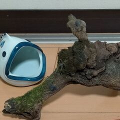 水槽用品の画像
