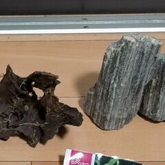 水槽用品の画像