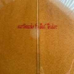 ジョエルチューダー　ショートボードの画像