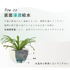 植木鉢　プランター　の画像