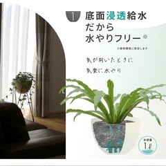 植木鉢　プランター　の画像