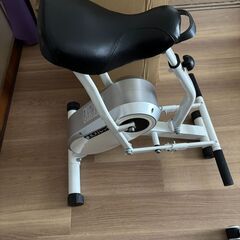 乗馬ストレッチマシーン（自分の足で漕ぐ用）の画像