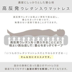 新品未使用 高反発マットレス 電動メッシュキルトベッド ブラウン [TAN-887BR] 介護ベッドの画像