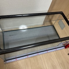 水槽の画像