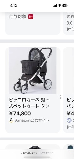 ピッコロカーネ タント2