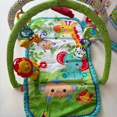 Fisher-Price レインフォレスト 指遊びミュージカルジムの画像