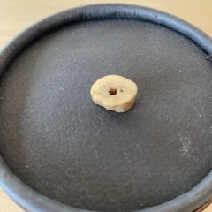 鹿の角の画像