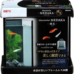 ジェックス グラステリア メダカ 横見 M サイズ 黒 水槽 オシャレ ベタの画像