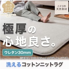 ニトリ　30mmウレタン使用綿入り 洗えるラグ200X200の画像