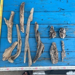 流木　アクアリウム　インテリア　エアープランツ　爬虫類　奇蟲の画像