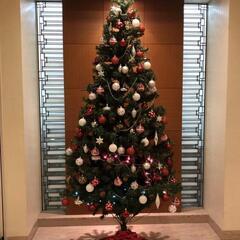 2,4mジャンボクリスマスツリー（オーナメント付）の画像