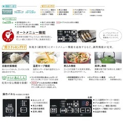 パロマガステーブル2025年3月購入の画像
