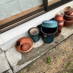 植木鉢まとめて引き取り可能な方にお譲りしますの画像