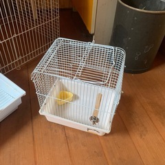 鳥飼育セットの画像