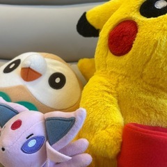 ポケモンぬいぐるみの画像