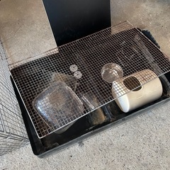 チンチラゲージ、うさぎゲージ、ハリネズミゲージの画像