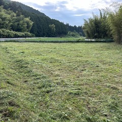 No.G714【兵庫県丹波篠山市小枕】農地（田）1筆あげま…