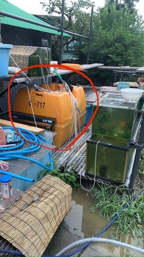 ローリータンク　500 リットル