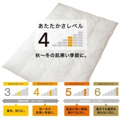 ニトリ 掛け布団 クイーン ホテルスタイルNホテル2Qの画像