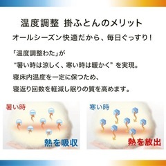 ニトリ 掛け布団 ダブル  温度調整CELL2Dの画像