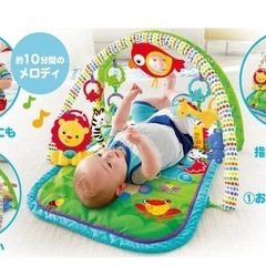 フィッシャープライス(fisher price) レインフォレスト指遊びミュージカルジム 【0カ月~】【知育玩具】【布おもちゃ】の画像