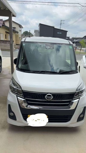 平成29年ディズルークス