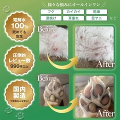 犬　猫　スキンケアミストの画像