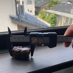 ルチルロングイの画像