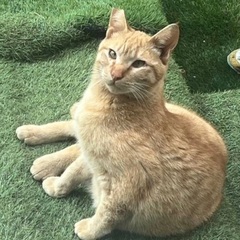 優しい茶太郎くん
