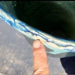 メダカ鉢　信楽焼の傘立てで購入の画像