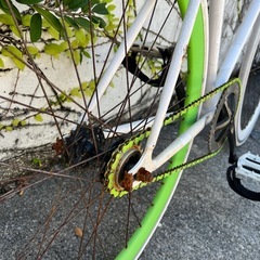 ピストバイク　の画像