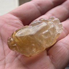 ルチルロングイの画像