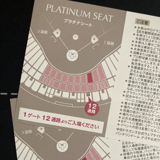 ★バンテリンドーム中日✕ベイスターズ(プラチナシート) 7月13日(日) 中日VS広島 バンテリンドーム プラチナシート2枚セット