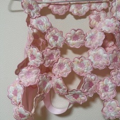 さくら　桜　ベスト　ピンク　レイヤー　花の画像