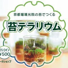 京都瑠璃光院の苔でつくるー 苔テラリウム