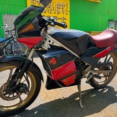 ウォルターウルフ　ガンマ　RG50　NA11A　レストアベースの画像