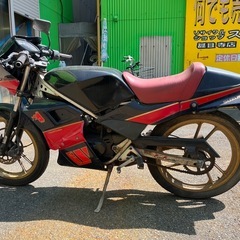 ウォルターウルフ　ガンマ　RG50　NA11A　レストアベースの画像