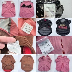 新品含む7点セット❗️　ワンちゃん　お洋服　女の子　Sサイズ相当　小型犬 プードルの画像