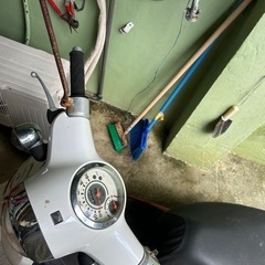 （購入者決定しました）HONDA ジョルノの画像