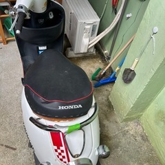 （購入者決定しました）HONDA ジョルノの画像