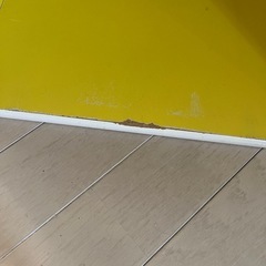 カラーボックス　イエローの画像