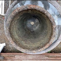粋なメダカ鉢の画像