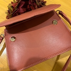 【ZARA】小さめなショルダーバッグの画像