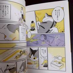 じじ猫くらし  ふじひと。　【j326】の画像
