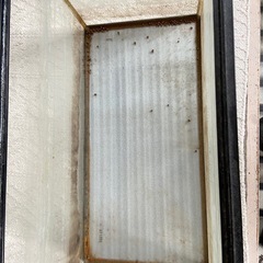 大型水槽の画像