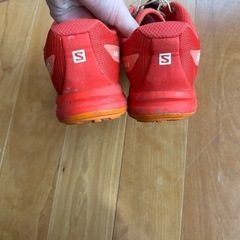 Salomon sense pro 2 25cmの画像