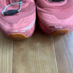 Salomon sense pro 2 25cmの画像