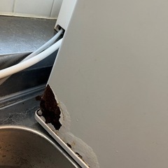 冷蔵庫　あげますの画像