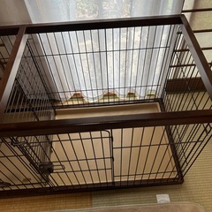 犬のゲージの画像